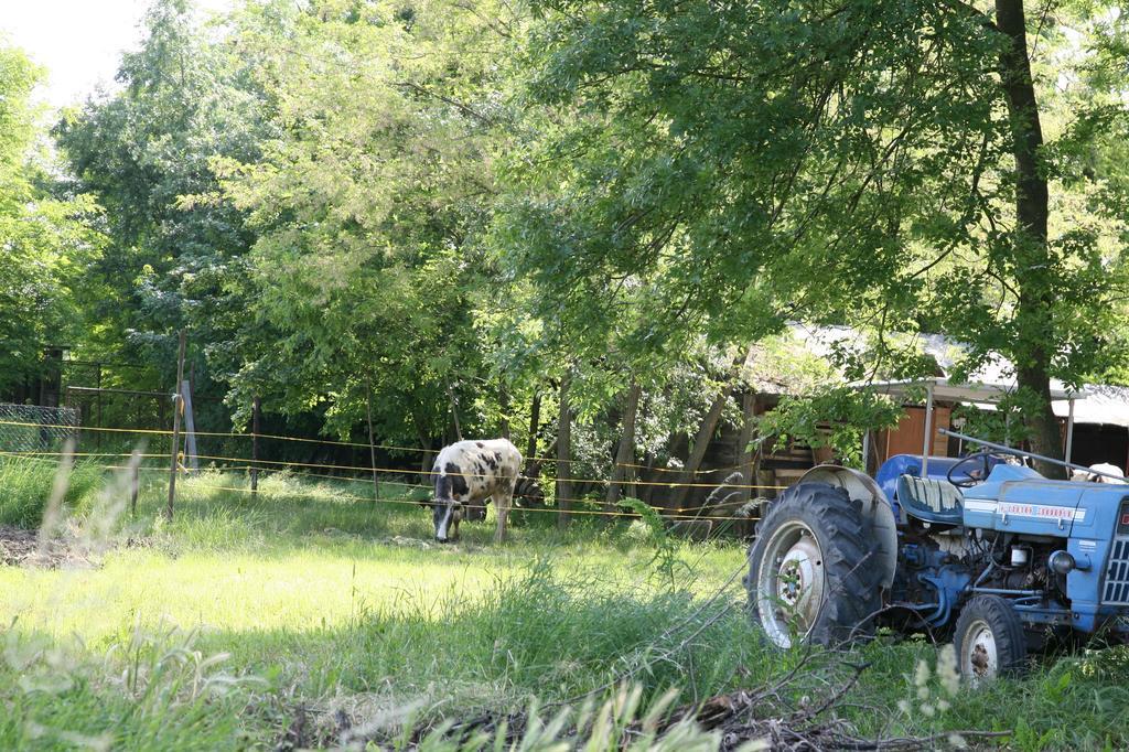 Agriturismo Maliso Ceggia 外观 照片
